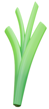spring-onion